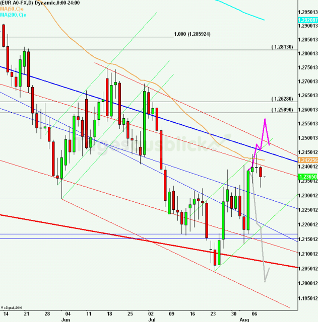 eurusdlanaus090812_640